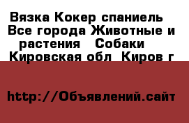 Вязка Кокер спаниель - Все города Животные и растения » Собаки   . Кировская обл.,Киров г.